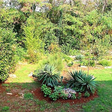 Apartamento Jelena Poreč Exterior foto