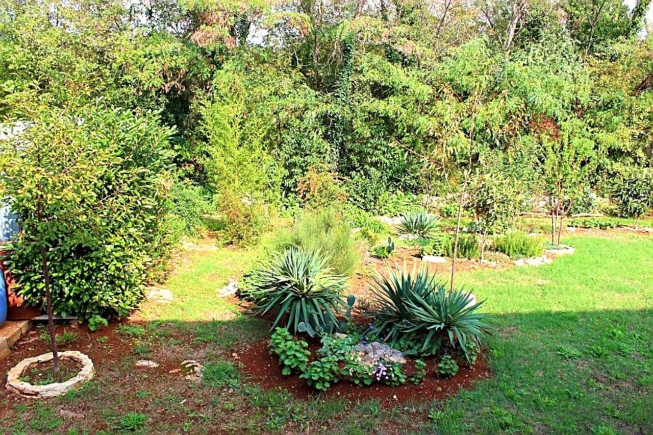 Apartamento Jelena Poreč Exterior foto